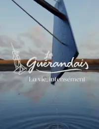 Film de marque 2026