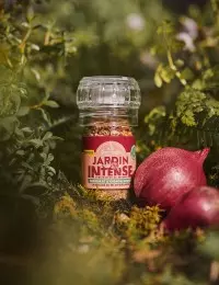 Croquant d'oignon rouge Jardin Intense le Guérandais-teaser