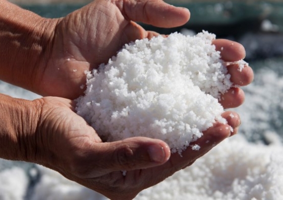 Blog : Reconnaître la fleur de sel de Guérande I Le Guérandais