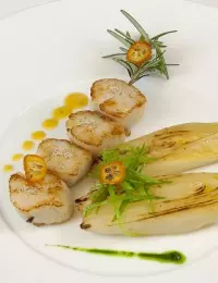 Noix de St Jacques relevées au sel marin aux herbes « le Guérandais », endives au jus d’agrumes émulsionné