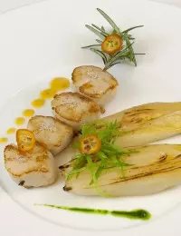Noix de St Jacques relevées au sel marin aux herbes « le Guérandais », endives au jus d’agrumes émulsionné