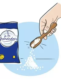 Gros sel humide Le Guérandais 
