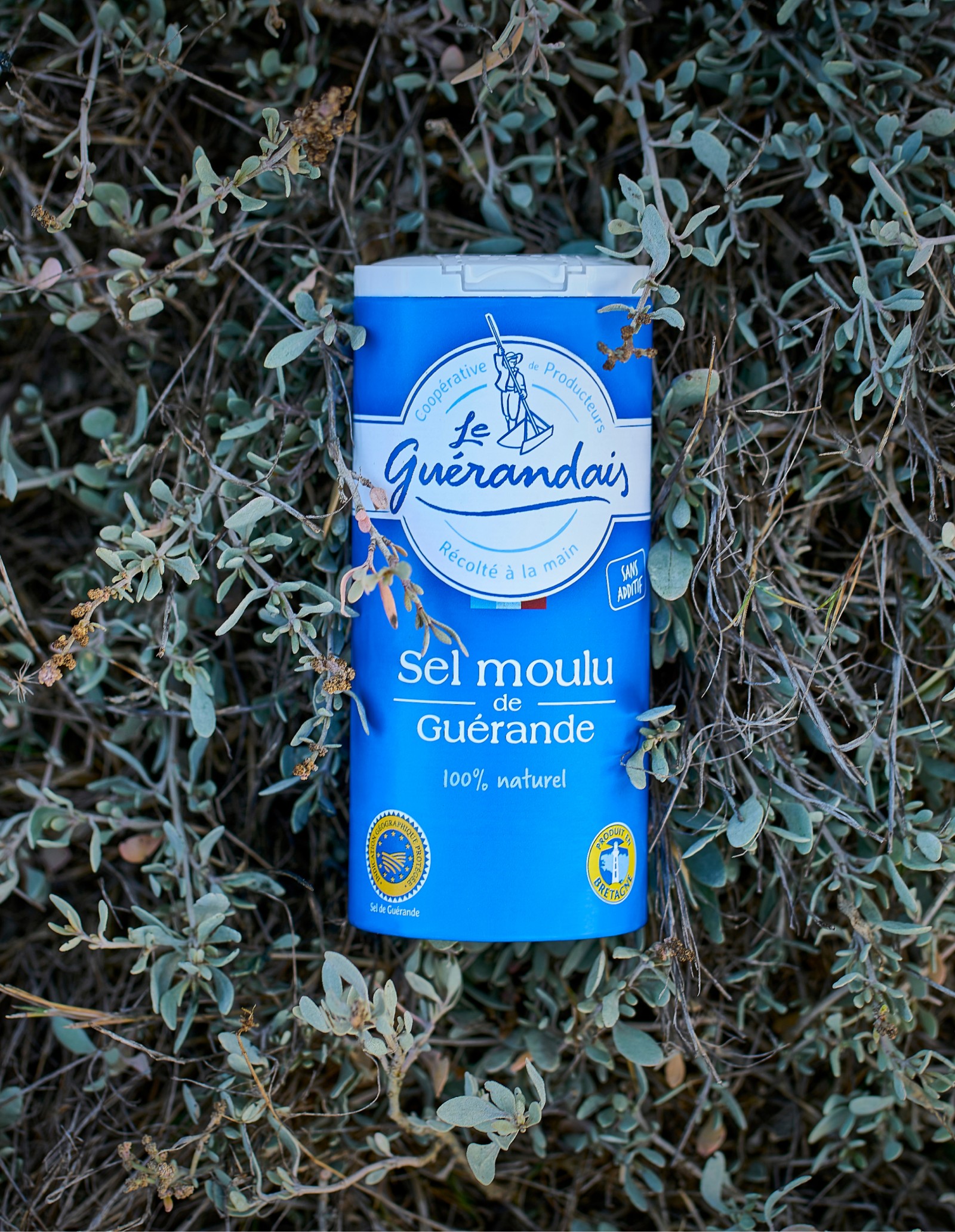 Fleur de Sel, Gros Sel, Fin, Aromatisé, Aromates Cristallisés