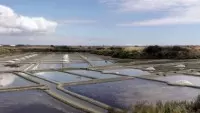 Salines de Guérande