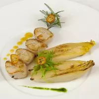 Noix de St Jacques relevées au sel marin aux herbes « le Guérandais », endives au jus d’agrumes émulsionné