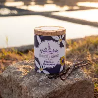 Fleur de sel vanille de madagascar