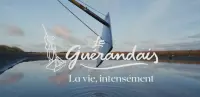 Film de marque 2026