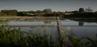 Visiter les marais de Guérande