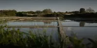 Visiter les marais de Guérande