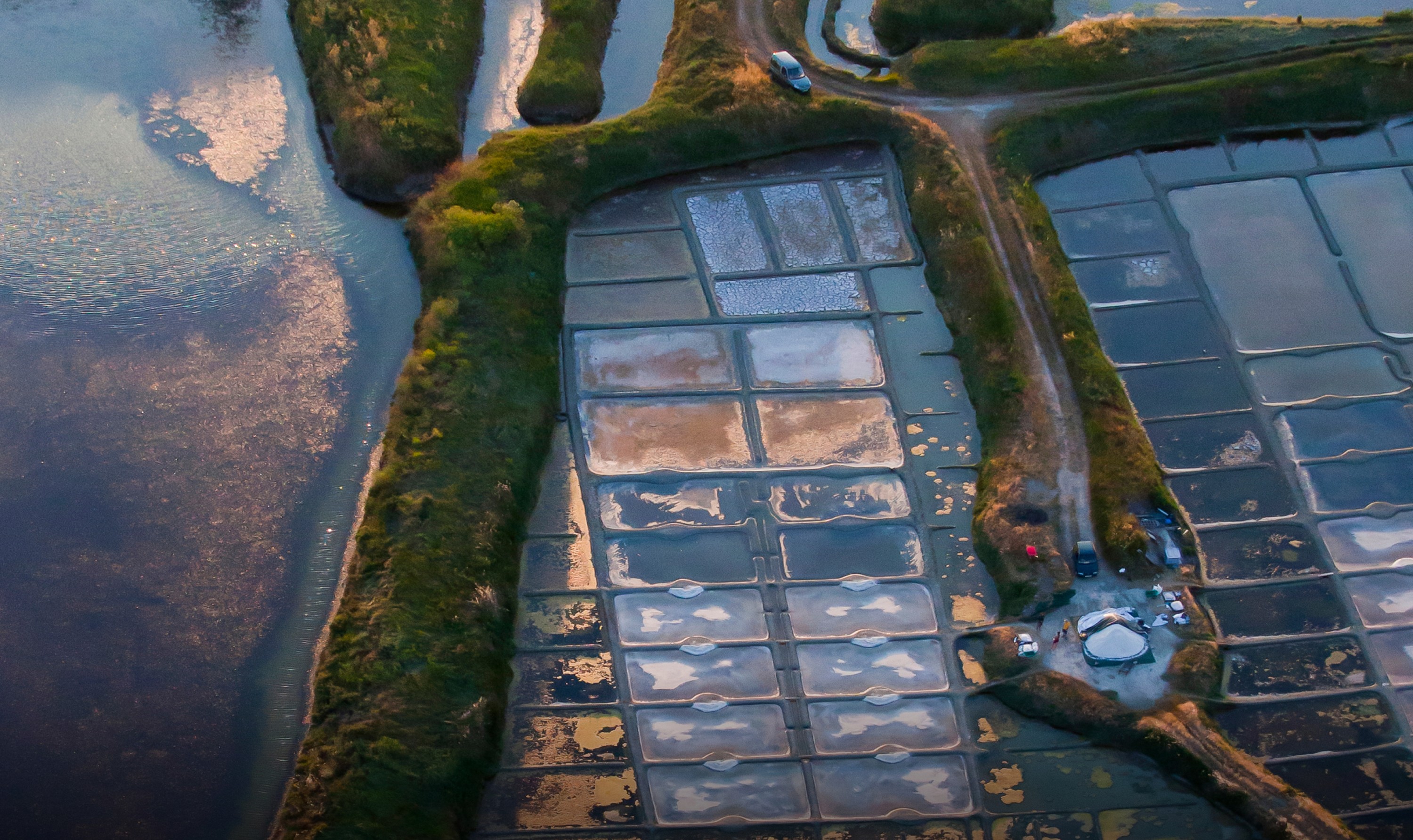 Guérande salt marshes - A wild heritage to discover about salt